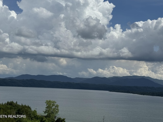 Ivy Way, Newport, TN 37821 - photo 9