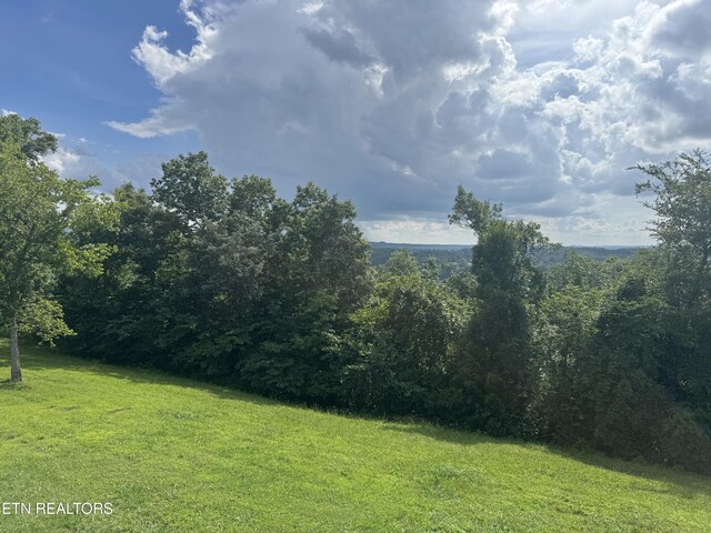 Ivy Way, Newport, TN 37821 - photo 4