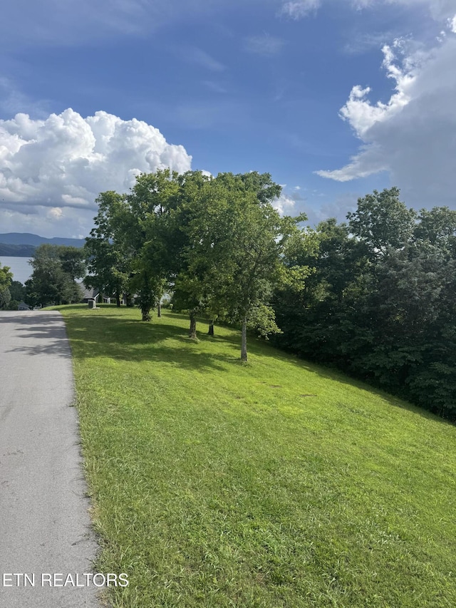 Ivy Way, Newport, TN 37821 - photo 3