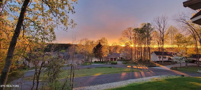 135 Chanusi Way, Loudon, TN 37774 - view of community with a yard