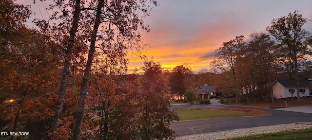 135 Chanusi Way, Loudon, TN 37774 - view of asphalt road