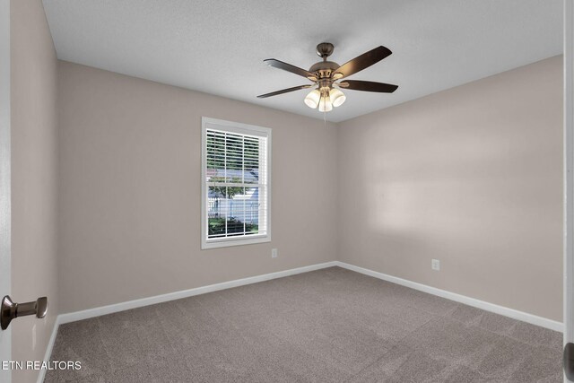 2927 Muzzle Ln, Knoxville, TN 37918 - photo 22