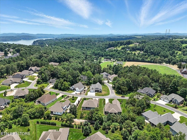 152 Pocola Way, Loudon, TN 37774 - photo 44