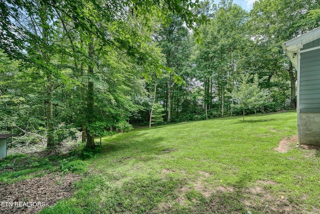 502 Midnight Dr, Byrdstown, TN 38549 - view of green lawn