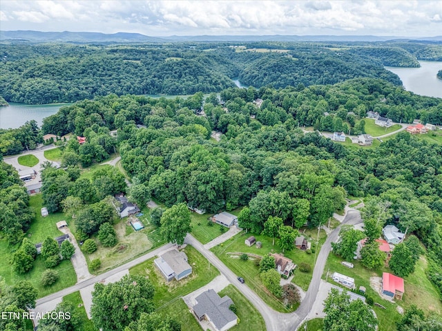 502 Midnight Dr, Byrdstown, TN 38549 - view of property location featuring a nearby body of water and a forest