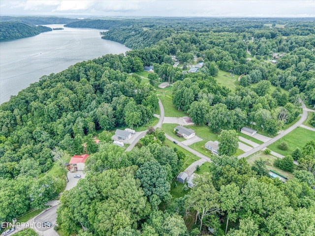 502 Midnight Dr, Byrdstown, TN 38549 - aerial overview of property's location featuring a large body of water and a forest