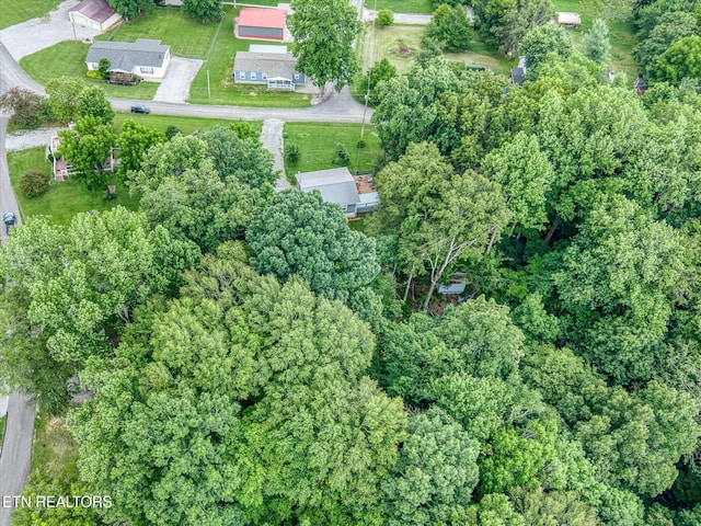 502 Midnight Dr, Byrdstown, TN 38549 - aerial view of property and surrounding area