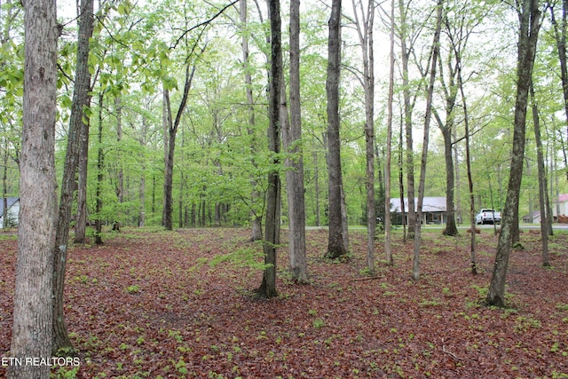 108 Laurel Dr, Jamestown, TN 38556 - view of tree filled area
