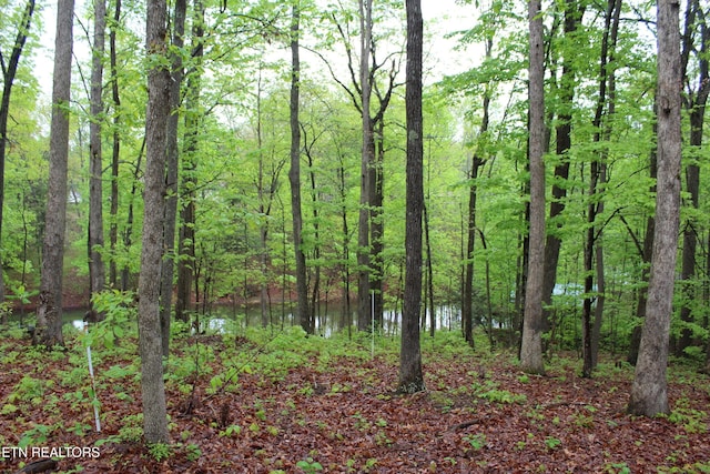 108 Laurel Dr, Jamestown, TN 38556 - view of woods
