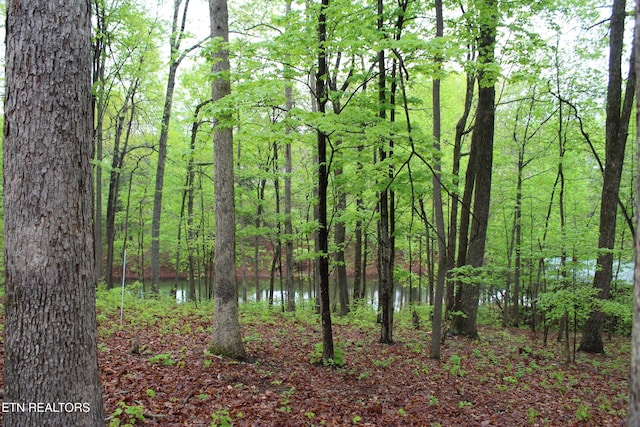 108 Laurel Dr, Jamestown, TN 38556 - view of woods