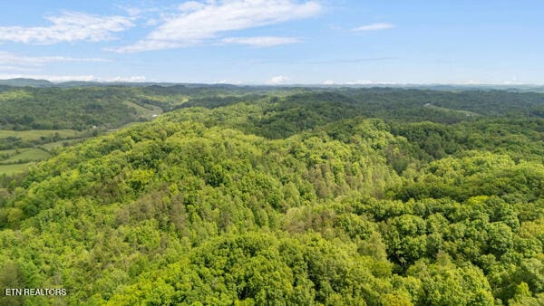 S Rogers Rd, Seymour, TN 37865