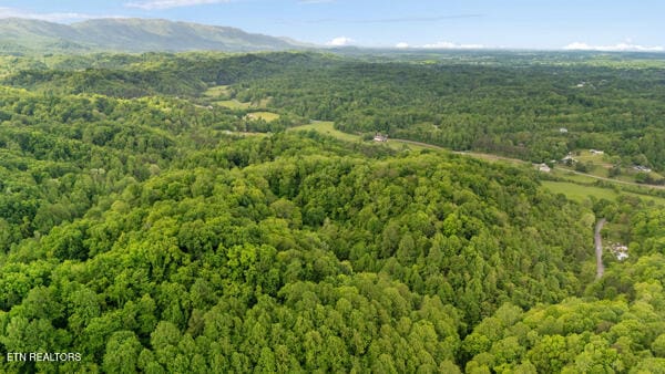 S Rogers Rd, Seymour, TN 37865