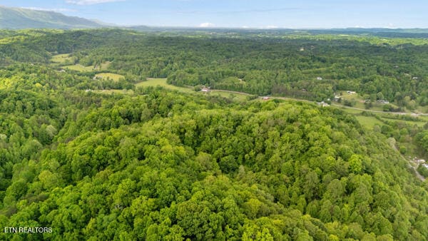 S Rogers Rd, Seymour, TN 37865