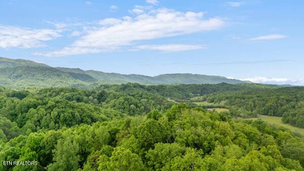 S Rogers Rd, Seymour, TN 37865