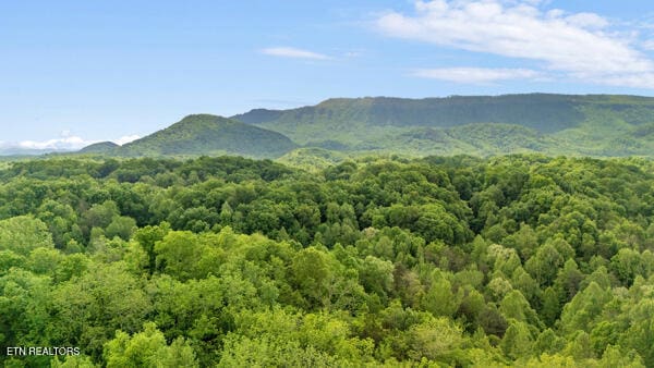S Rogers Rd, Seymour, TN 37865