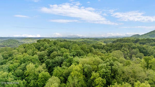 S Rogers Rd, Seymour, TN 37865