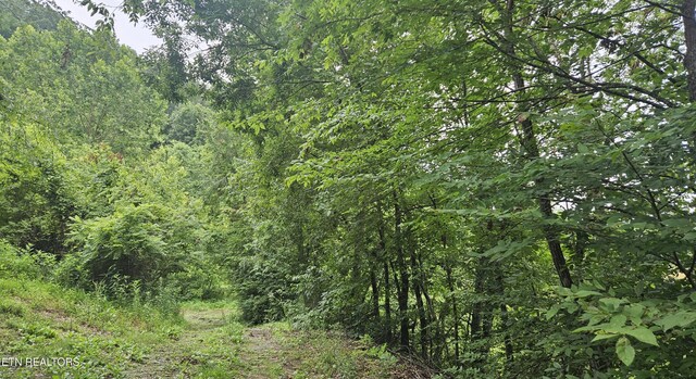 S Rogers Rd, Seymour, TN 37865