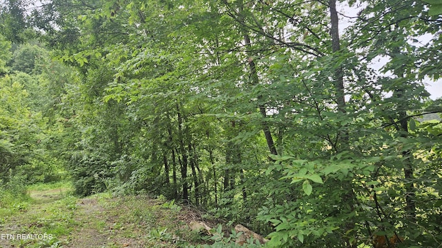 S Rogers Rd, Seymour, TN 37865