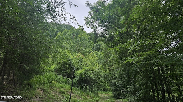 S Rogers Rd, Seymour, TN 37865