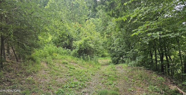 S Rogers Rd, Seymour, TN 37865