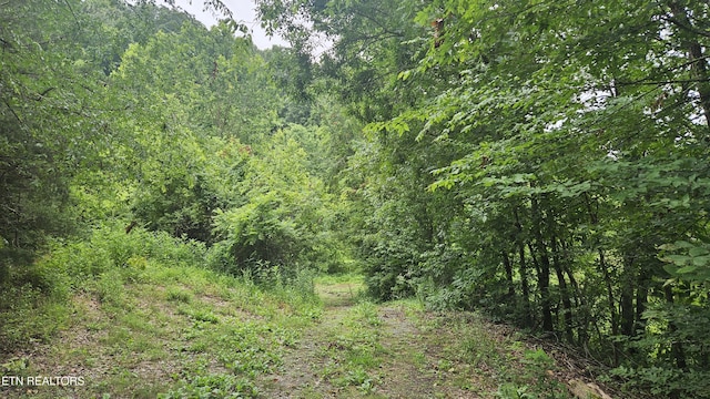 S Rogers Rd, Seymour, TN 37865