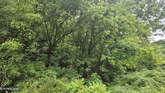S Rogers Rd, Seymour, TN 37865