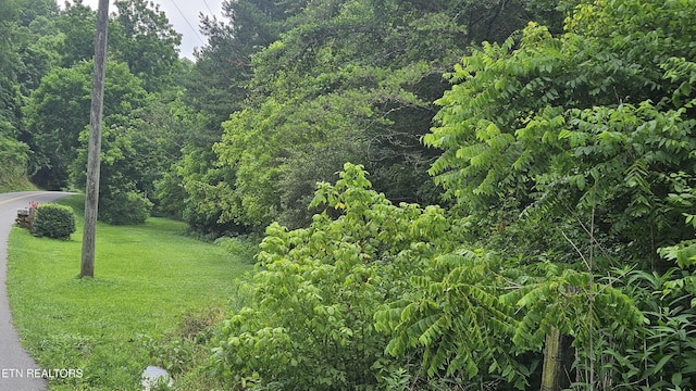 S Rogers Rd, Seymour, TN 37865