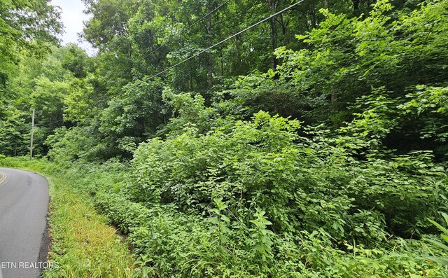 S Rogers Rd, Seymour, TN 37865