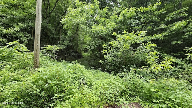 S Rogers Rd, Seymour, TN 37865