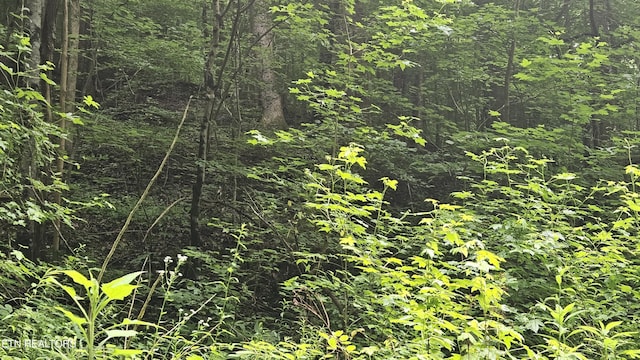 S Rogers Rd, Seymour, TN 37865