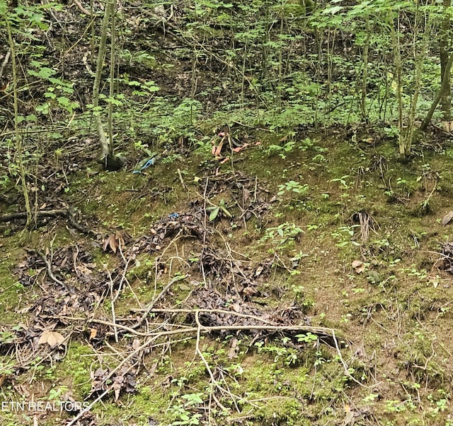 S Rogers Rd, Seymour, TN 37865