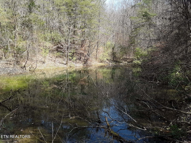 S Rogers Rd, Seymour, TN 37865