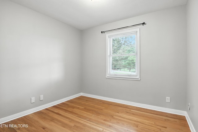 5409 Wassman Rd, Knoxville, TN 37912 - photo 13
