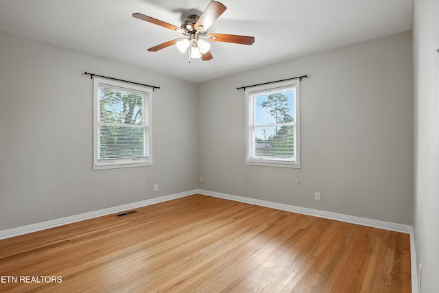 5409 Wassman Rd, Knoxville, TN 37912 - photo 15
