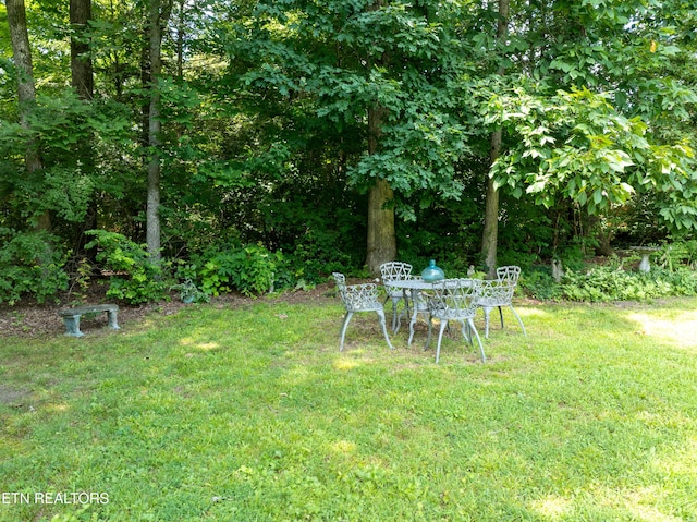 1407 Wilkinson Pike, Maryville, TN 37803 - photo 45