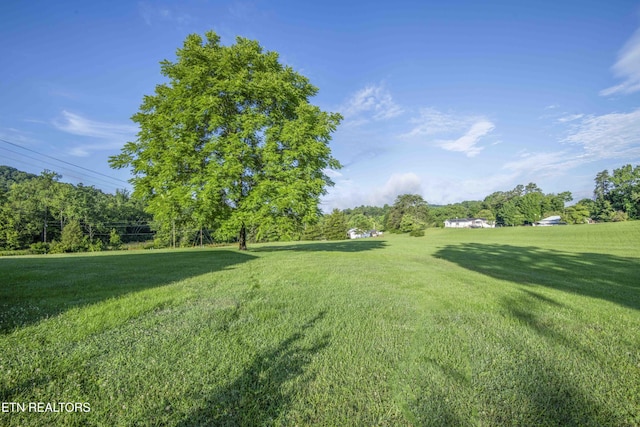 506 Blockhouse Valley Rd, Clinton, TN 37716 - view of green lawn