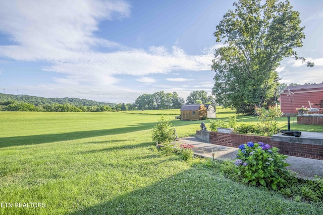 506 Blockhouse Valley Rd, Clinton, TN 37716 - view of grassy yard featuring a storage shed