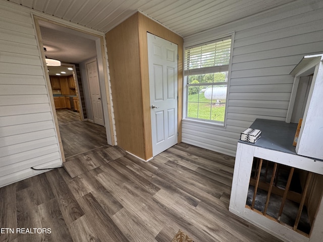 109 Henry Mayfield Rd, Tellico Plains, TN 37385 - hallway with wooden walls and dark wood-style flooring