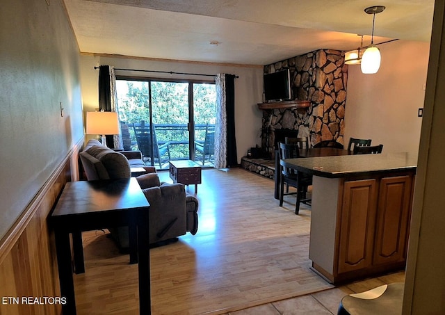 1081 Cove Rd Unit 623, Sevierville, TN 37876 - living room with light wood-type flooring, a fireplace, and a wainscoted wall