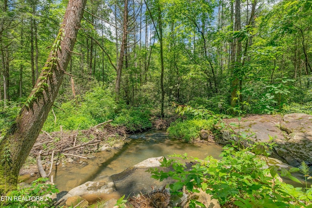 118 Authorn Sheldon Rd, Harriman, TN 37748 - photo 7