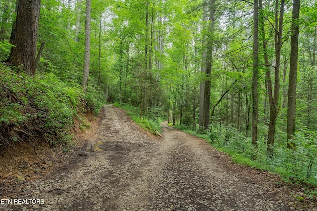 118 Authorn Sheldon Rd, Harriman, TN 37748 - photo 3