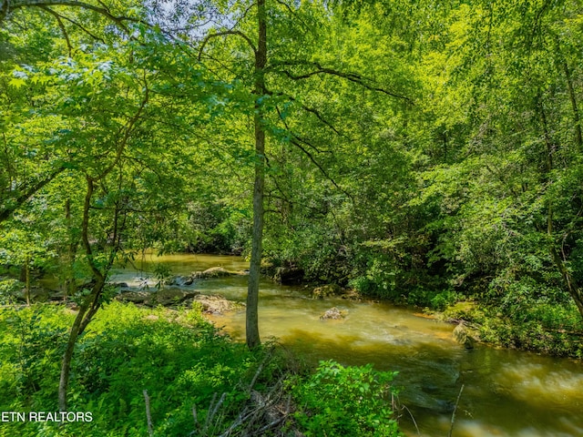 118 Authorn Sheldon Rd, Harriman, TN 37748 - photo 8