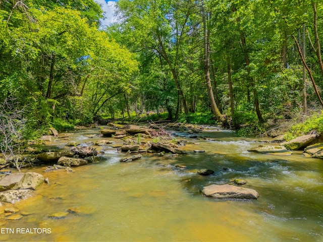 118 Authorn Sheldon Rd, Harriman, TN 37748 - photo 34