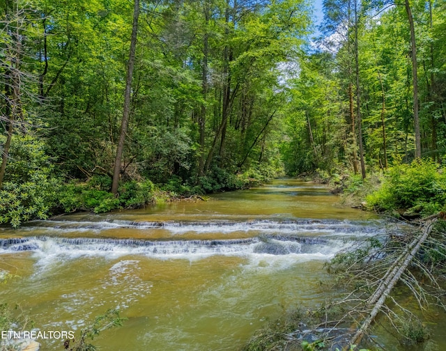 118 Authorn Sheldon Rd, Harriman, TN 37748 - photo 36