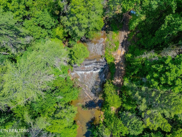 118 Authorn Sheldon Rd, Harriman, TN 37748 - photo 38