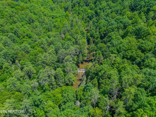 118 Authorn Sheldon Rd, Harriman, TN 37748 - photo 40