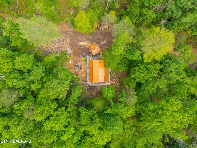 118 Authorn Sheldon Rd, Harriman, TN 37748 - photo 6
