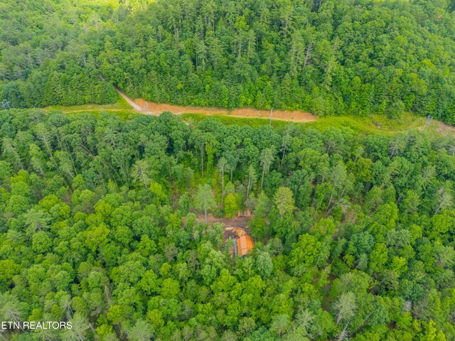 118 Authorn Sheldon Rd, Harriman, TN 37748 - photo 41