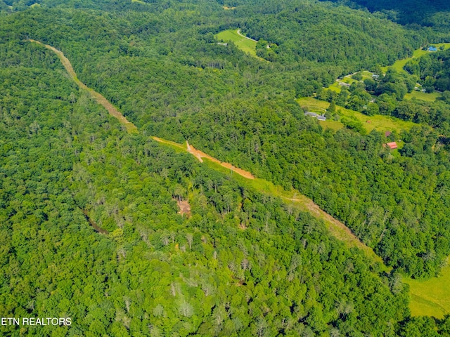 118 Authorn Sheldon Rd, Harriman, TN 37748 - photo 44