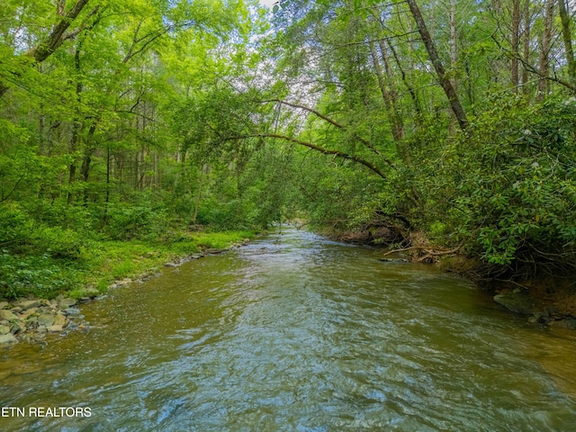 118 Authorn Sheldon Rd, Harriman, TN 37748 - photo 48